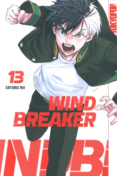 Wind Breaker 13