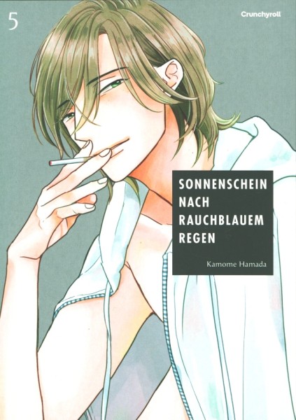 Sonnenschein nach rauchblauem Regen 05