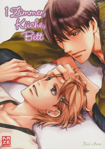 1 Zimmer, Küche, Bett