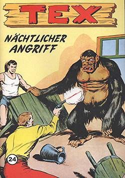 Tex 24