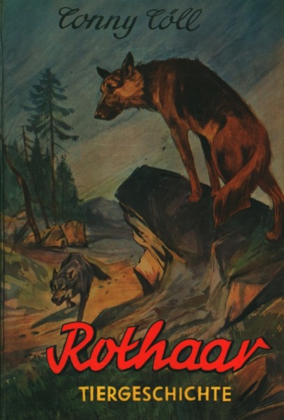 Conny Cöll Jugendreihe (Conny Cöll-Verlag, Tb.) Rothaar Jugendbücher