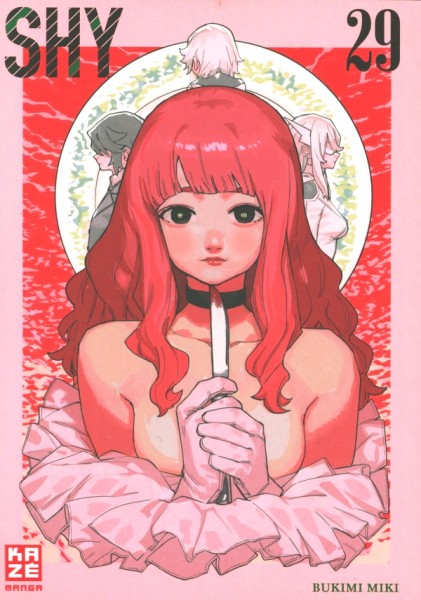 SHY 29