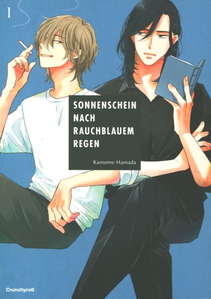 Sonnenschein nach rauchblauem Regen 01