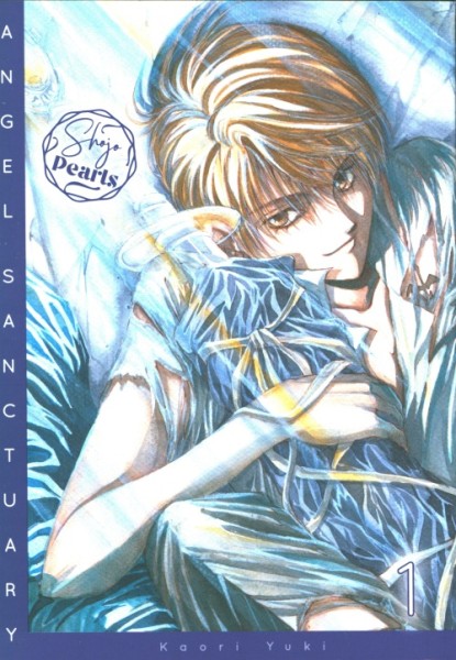 Angel Sanctuary Pearls (Carlsen, Tb.) Nr. 1-8