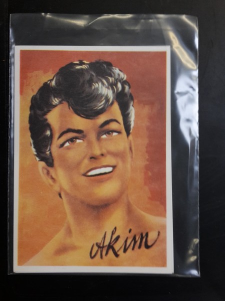 Hethke Bildpostkarte Akim