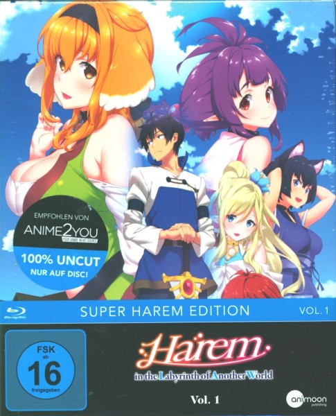 Harem in the Labyrinth of Another World - Vol.1 Blu-ray im Schuber
