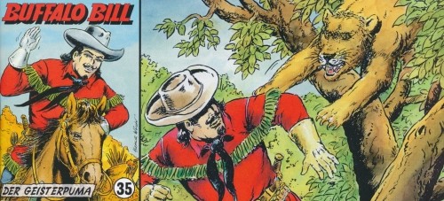 Buffalo Bill Piccolo 35