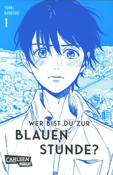 Wer bist du zur blauen Stunde? 1 - Taschenbuch
