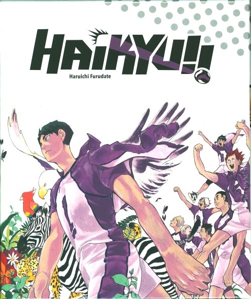 Haikyu 40 im Schuber
