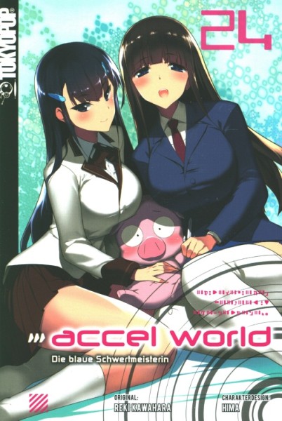 Accel World – Novel 24