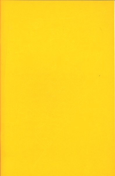 JSA (Panini, Gb.) Variant Nr. 1