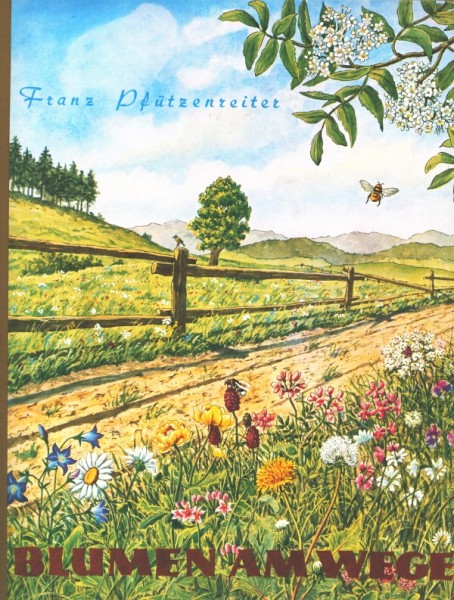 Herba SBA Blumen am Wege (30832/8) komplett Sammelbilderalbum