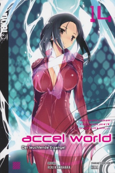 Accel World – Novel 14