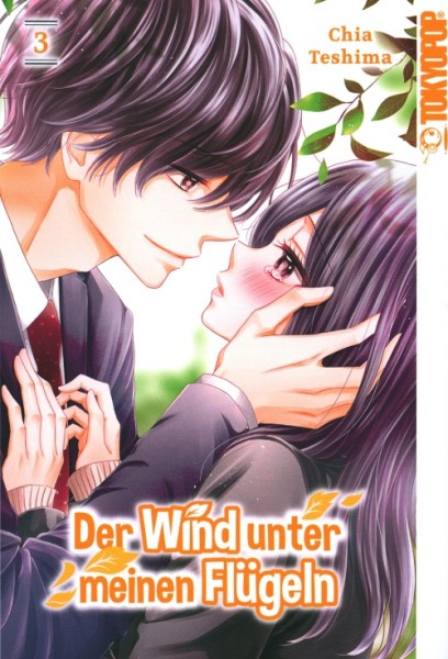 Der Wind unter meinen Flügeln 3