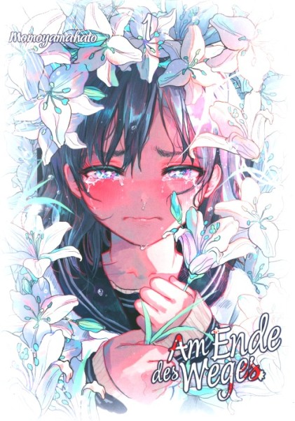 Am Ende des Weges (Dokico, Tb.) Nr. 1-3