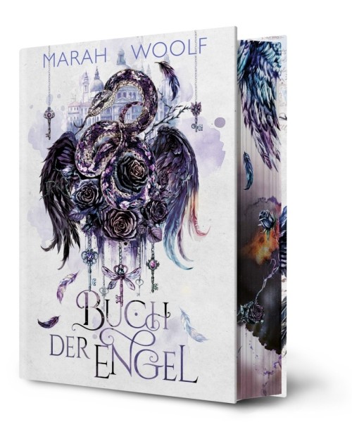 Buch der Engel (Angelussaga 3)