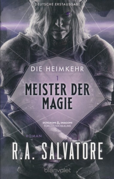 Salvatore, R.A.: Heimkehr 1 - Meister der Magie