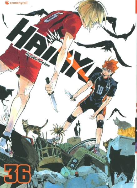 Haikyu 36