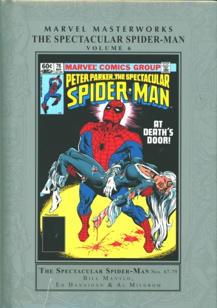 Marvel Masterworks (2003) Spectacular Spider-Man HC Vol.6