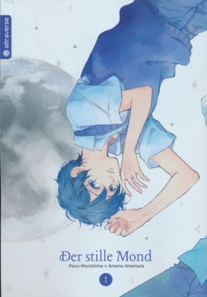 Der Stille Mond 1