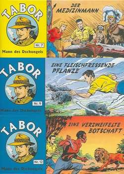 Tabor Piccolo-Set 07-12