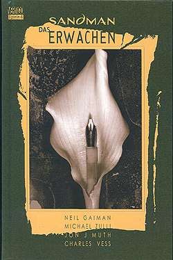 Sandman 11: Erwachen HC