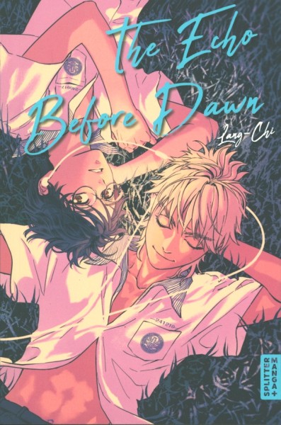 The Echo before Dawn