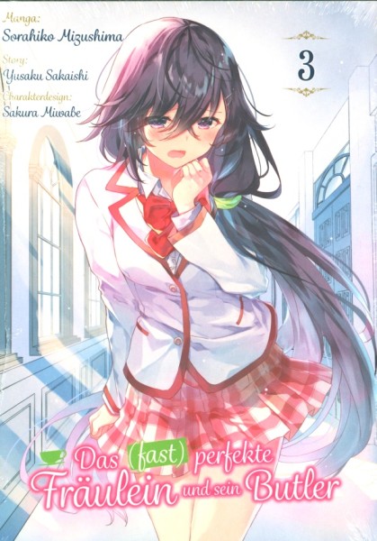Das (fast) perfekte Fräulein und sein Butler 3