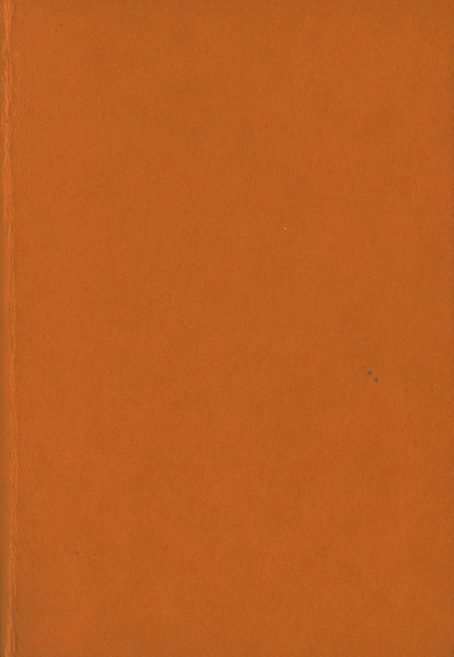 Jackson, Jim Leihbuch Bad Lands (Feldmann)