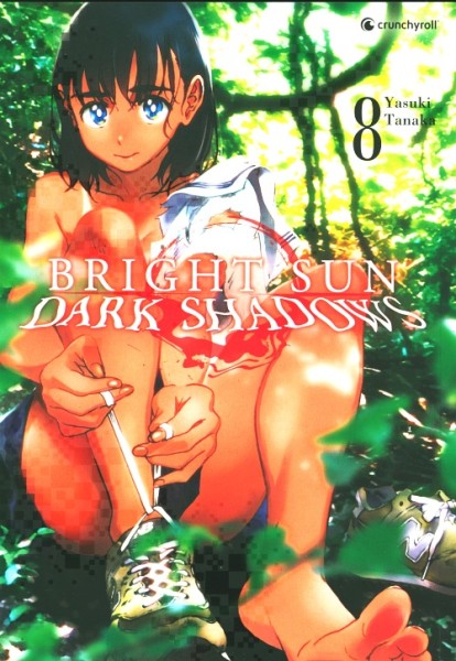 Bright Sun - Dark Shadows (Kaze, Tb.) Nr. 8,9,11