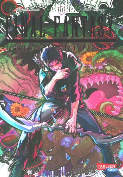 Final Fantasy - Lost Stranger 11