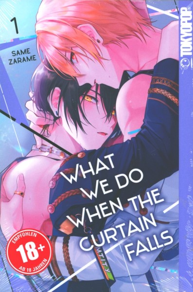What we do when the curtain falls (Tokyopop, Tb.) Nr. 1-3 zus. (Z1)