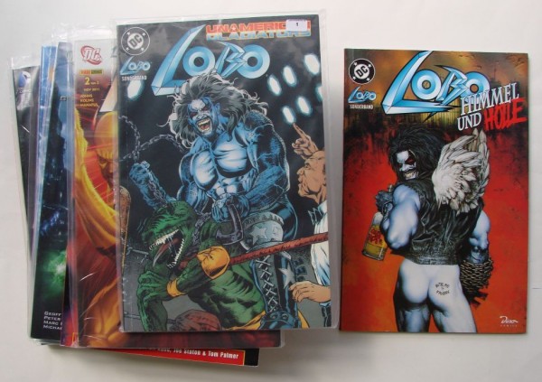 Paket 3031 9 DC-Sammelbände (Z1)