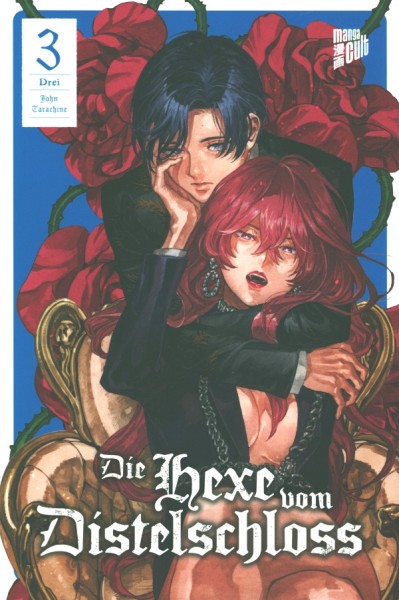 Die Hexe vom Distelschloss 03