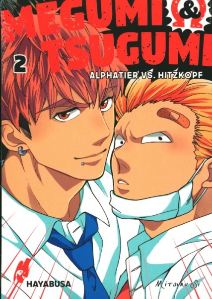 Megumi & Tsugumi (Hayabusa, Tb.) Nr. 2-6