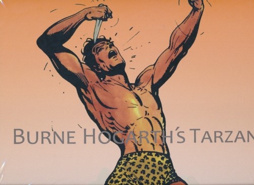 Burne Hogarths Tarzan (ComicSelection, B.) Nr. 1-3