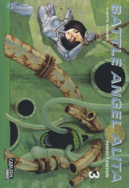 Battle Angel Alita: Perfect Edition 3