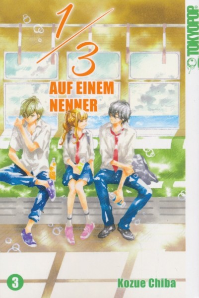 1/3 - Auf einem Nenner 3