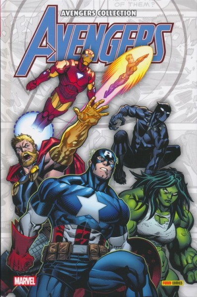 Avengers Collection (Panini, B.) Avengers