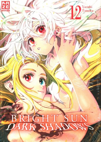 Bright Sun - Dark Shadows 12