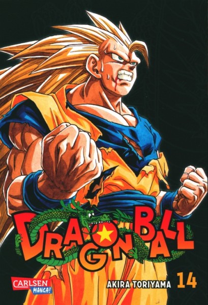 Dragon Ball Massiv 14