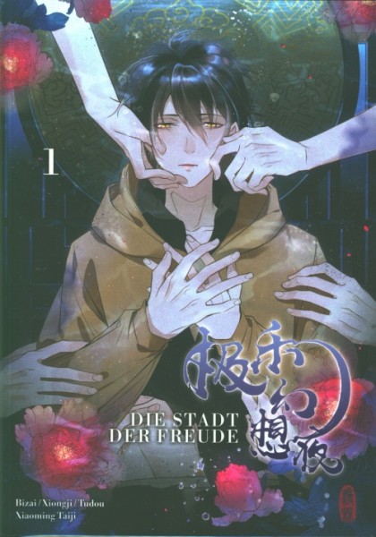 Die Stadt der Freude 01