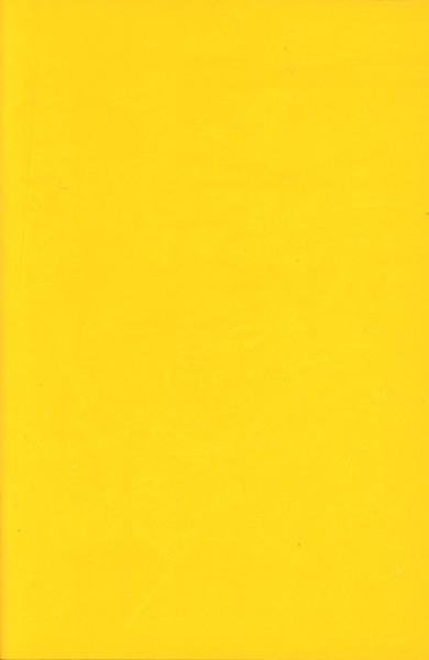 JSA (Panini, Gb.) Variant Nr. 1 (Publisher Proof)