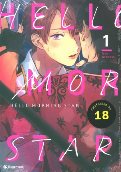 Hello Morning Star 01