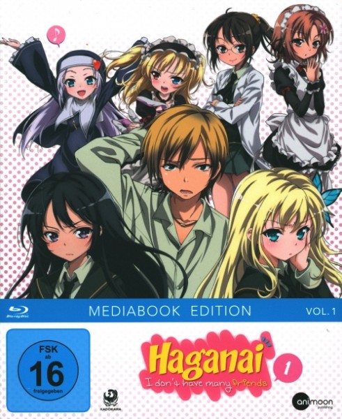 Haganai Vol. 1 Mediabook Edition Blu-ray
