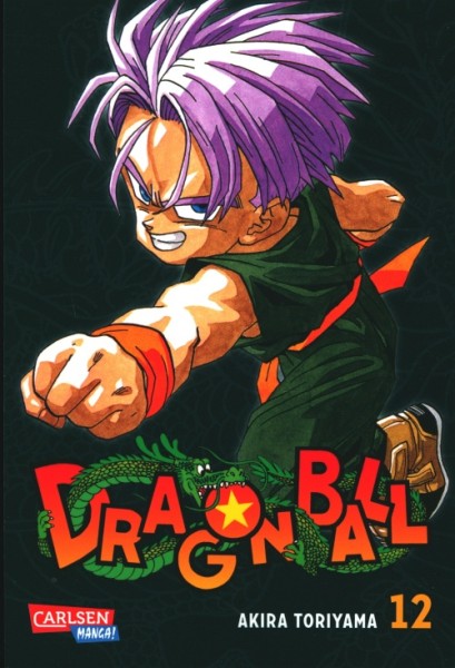 Dragon Ball Massiv 12