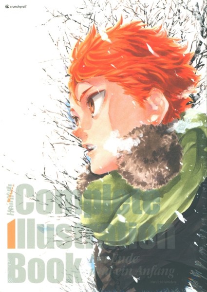Haikyu!! Complete Illustration Artbook
