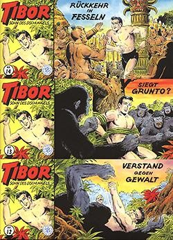 Tibor Piccolo (2. Serie) 13