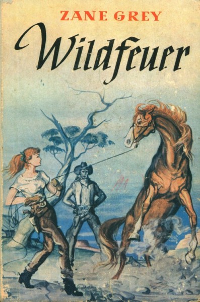 Grey, Zane Leihbuch Wildfeuer (Awa)