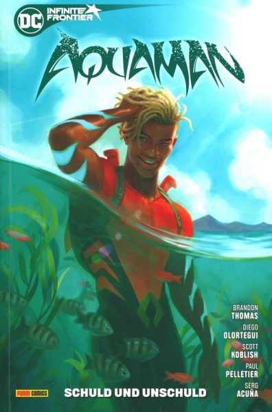 Aquaman: Schuld und Unschuld (Panini, Br.) Softcover